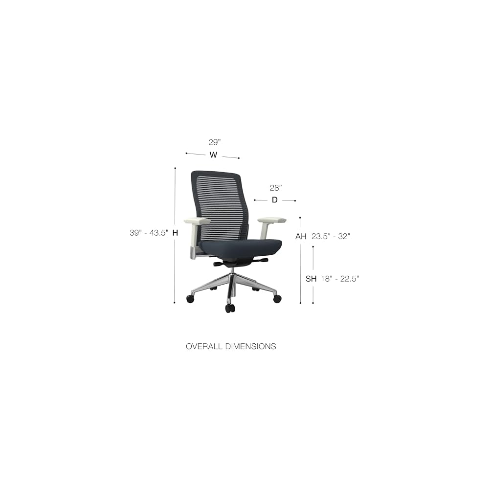 Euro Style Eon Office Chair | Modern Ergonomic Executive Style | Breathable Mesh Back, Padded Seat | 360° Swivel, Tilt with Tension Control, Lumbar Support, Seat Slider, Adjustable Arms | Grey
