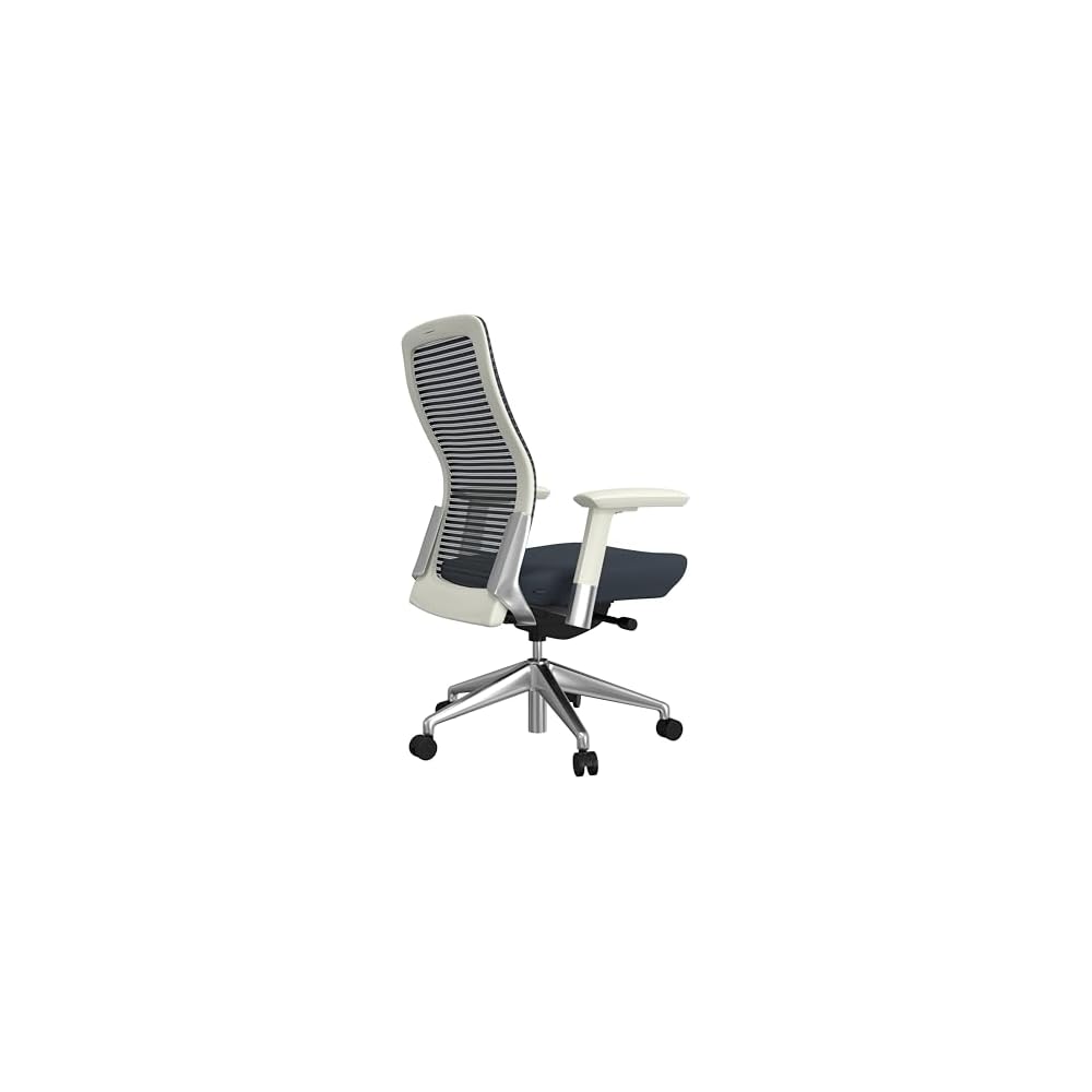 Euro Style Eon Office Chair | Modern Ergonomic Executive Style | Breathable Mesh Back, Padded Seat | 360° Swivel, Tilt with Tension Control, Lumbar Support, Seat Slider, Adjustable Arms | Grey