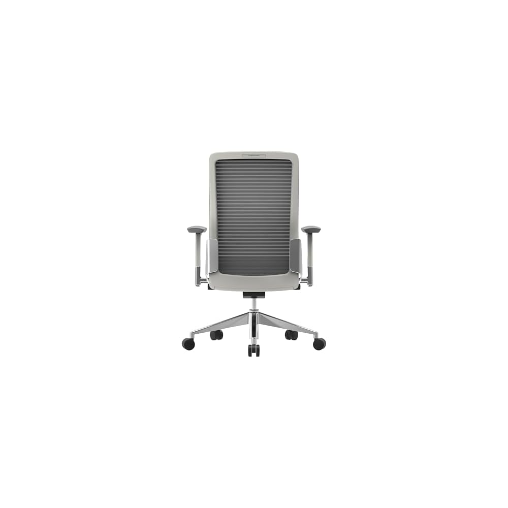Euro Style Eon Office Chair | Modern Ergonomic Executive Style | Breathable Mesh Back, Padded Seat | 360° Swivel, Tilt with Tension Control, Lumbar Support, Seat Slider, Adjustable Arms | Grey