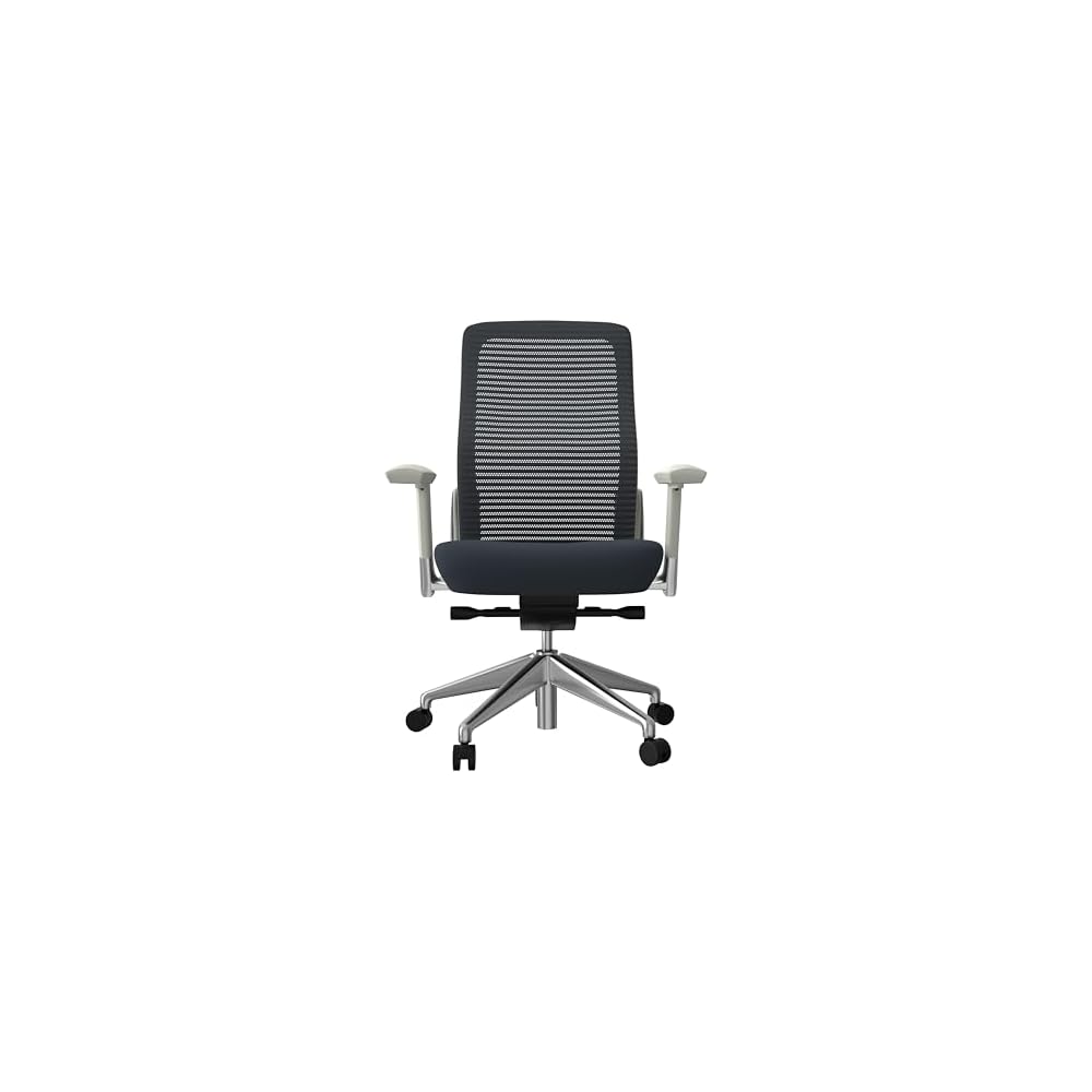 Euro Style Eon Office Chair | Modern Ergonomic Executive Style | Breathable Mesh Back, Padded Seat | 360° Swivel, Tilt with Tension Control, Lumbar Support, Seat Slider, Adjustable Arms | Grey