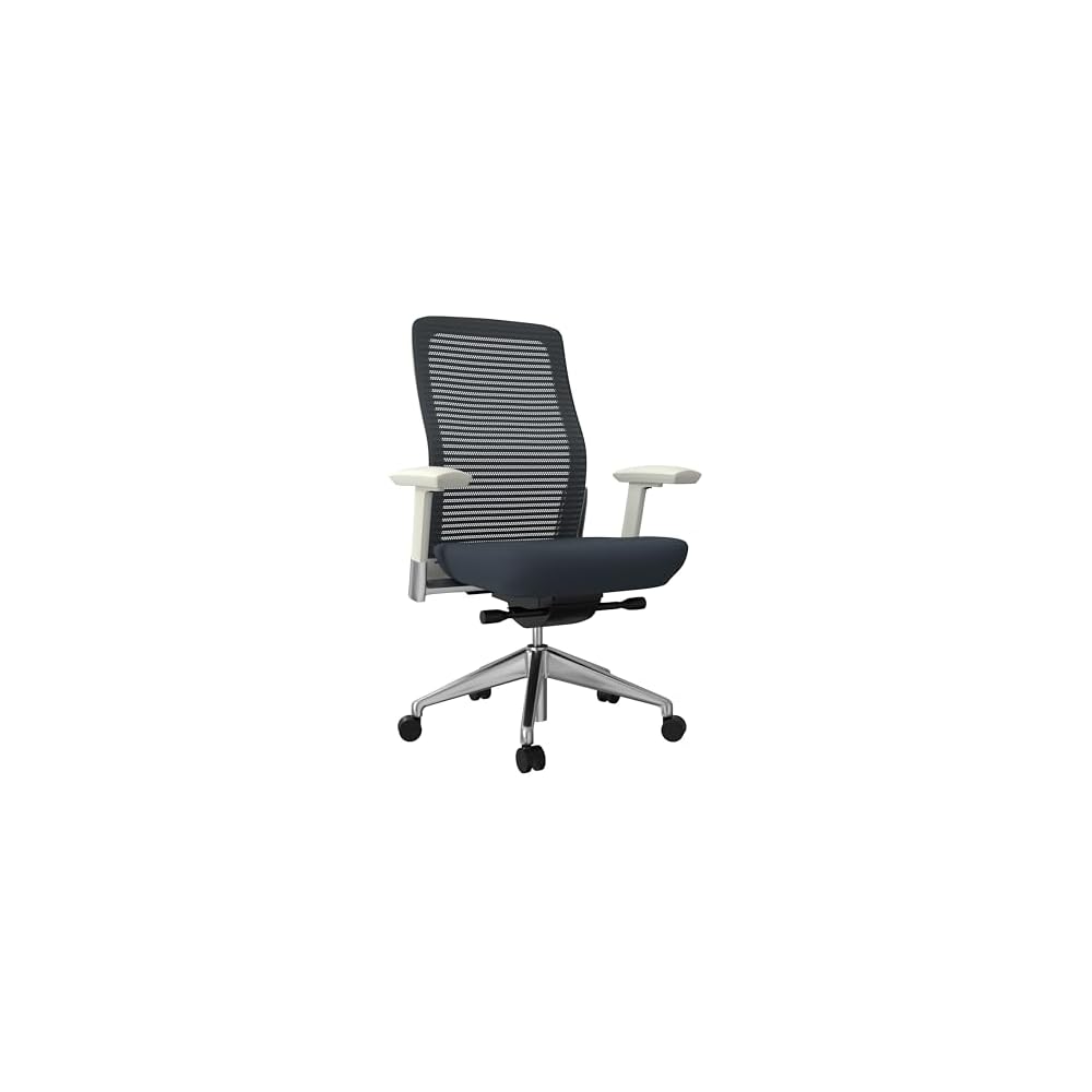 Euro Style Eon Office Chair | Modern Ergonomic Executive Style | Breathable Mesh Back, Padded Seat | 360° Swivel, Tilt with Tension Control, Lumbar Support, Seat Slider, Adjustable Arms | Grey