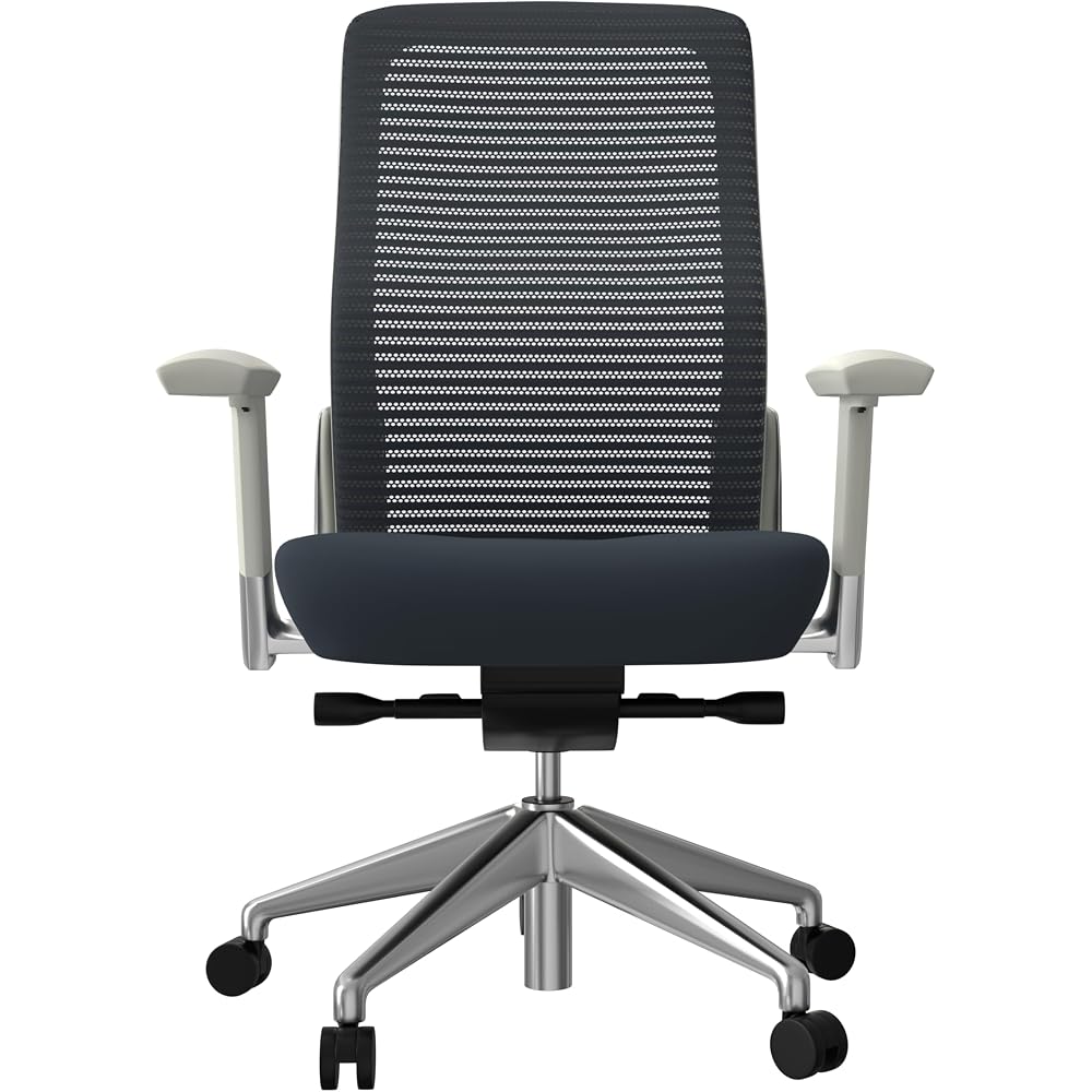 Euro Style Eon Office Chair | Modern Ergonomic Executive Style | Breathable Mesh Back, Padded Seat | 360° Swivel, Tilt with Tension Control, Lumbar Support, Seat Slider, Adjustable Arms | Grey